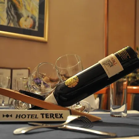 Terex Hotel