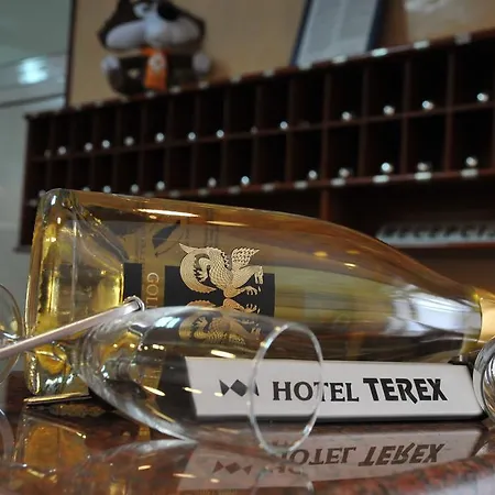 호텔 테렉스 3*